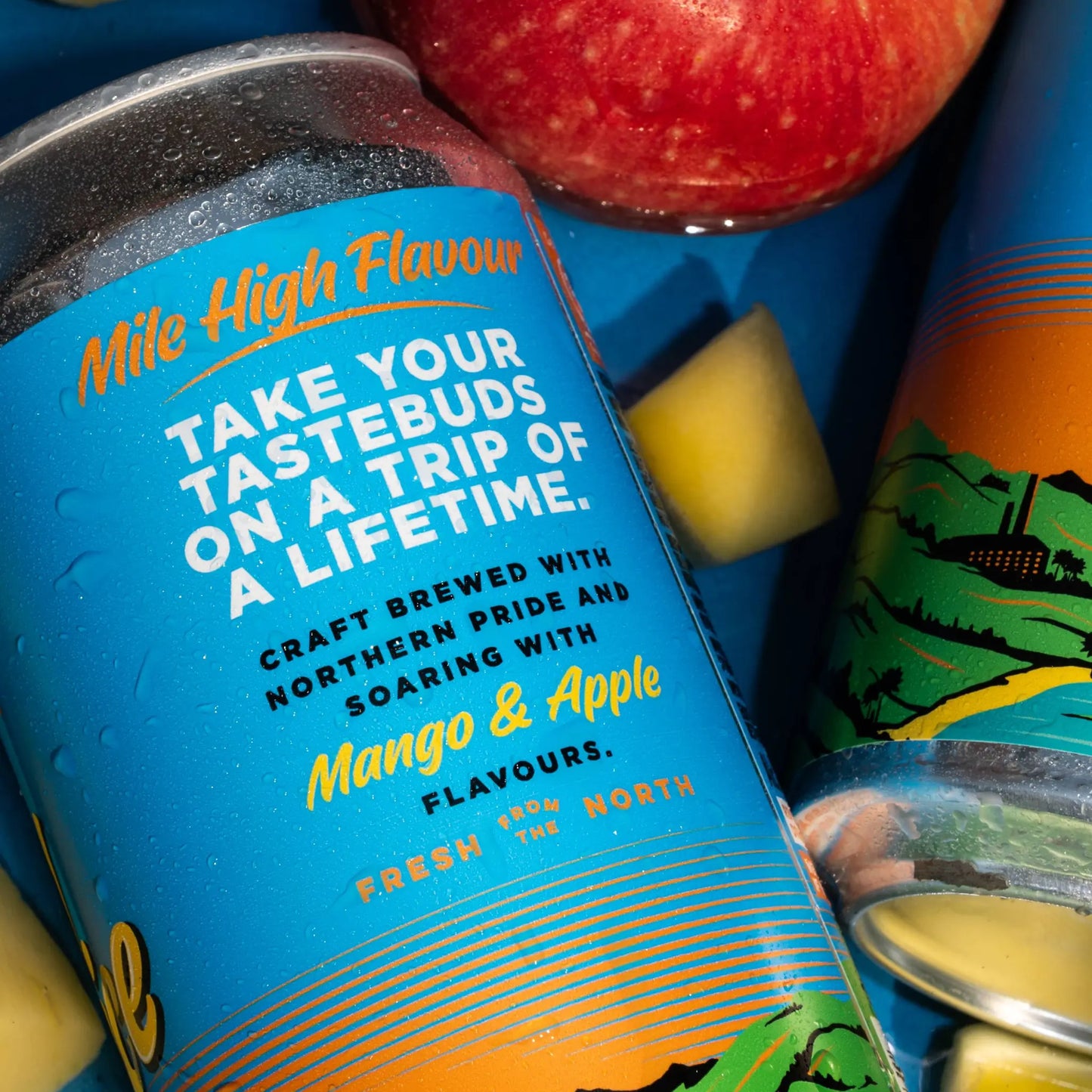 EASY JUICE // TROPICAL IPA // 6.2%
