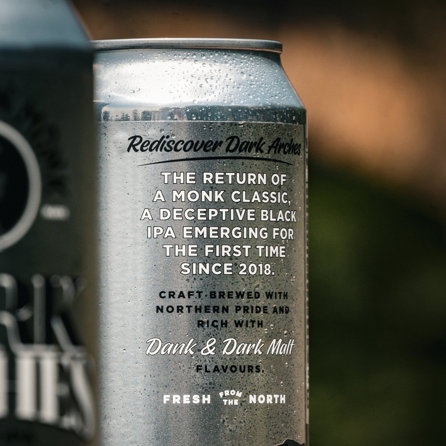 DARK ARCHES // BLACK IPA // 6.7%