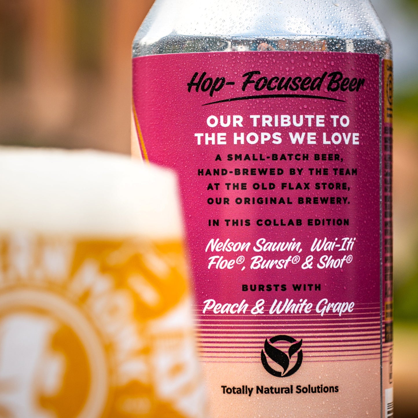 FRESH FROM THE OLD FLAX STORE // 7 OF 12 // HAZY PALE ALE // 5.6%