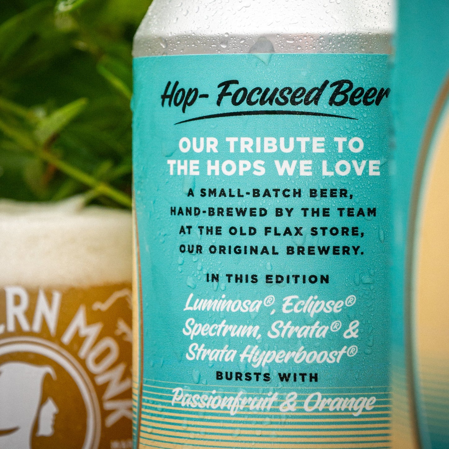 FRESH FROM THE OLD FLAX STORE // 6 OF 12 // HAZY PALE ALE // 5.6%